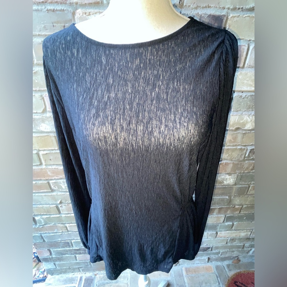 Banana Republic Black Sheer Blouse NWOT